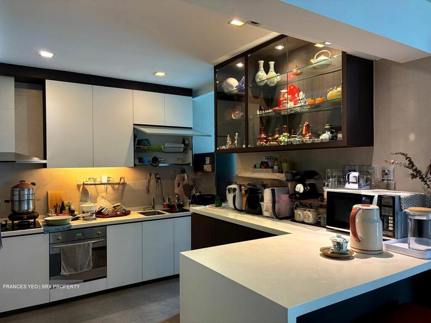 Parc Oasis (D22), Condominium #567557541